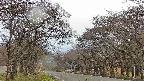 takano2-20250426134030.jpg