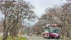 takano2-20250426140031.jpg