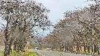 takano2-20250426141030.jpg