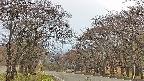 takano2-20250426142029.jpg