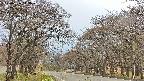 takano2-20250426143029.jpg