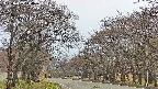 takano2-20250426144030.jpg