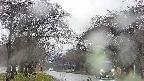 takano2-20250426152030.jpg
