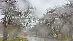 takano2-20250426154030.jpg