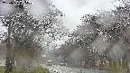 takano2-20250426155030.jpg