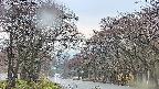 takano2-20250426163031.jpg