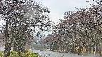 takano2-20250426165030.jpg