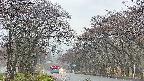 takano2-20250426170031.jpg
