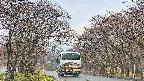 takano2-20250426172030.jpg