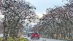 takano2-20250426173030.jpg