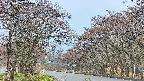 takano2-20250426175030.jpg