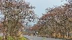 takano2-20250426181030.jpg
