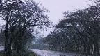 takano2-20250426184030.jpg