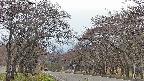 takano2-20250427133030.jpg