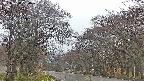 takano2-20250428050029.jpg