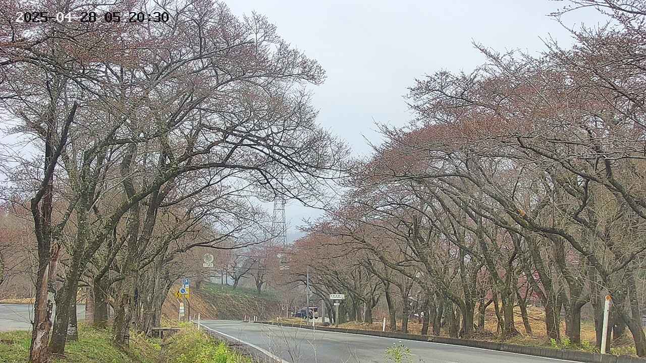 takano2-20250428052032.jpg