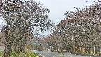 takano2-20250428052032.jpg