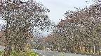 takano2-20250428053029.jpg