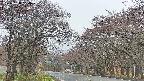 takano2-20250428054030.jpg
