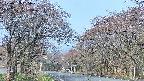 takano2-20250428065030.jpg