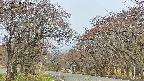 takano2-20250428071029.jpg