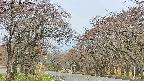 takano2-20250428072030.jpg