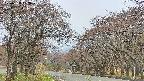 takano2-20250428073029.jpg