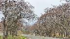 takano2-20250428080030.jpg