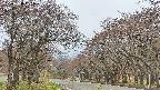 takano2-20250428081030.jpg
