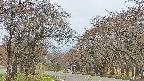 takano2-20250428082030.jpg