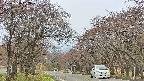 takano2-20250428083030.jpg