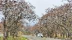 takano2-20250428084030.jpg