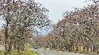takano2-20250428092028.jpg