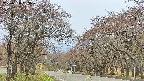 takano2-20250428093029.jpg