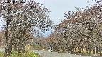 takano2-20250428094029.jpg