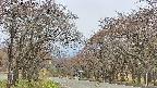 takano2-20250428095030.jpg