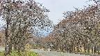 takano2-20250428103030.jpg