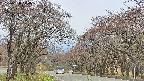 takano2-20250428104030.jpg