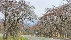 takano2-20250428111030.jpg
