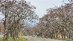 takano2-20250428121030.jpg