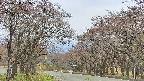 takano2-20250428123030.jpg
