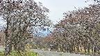 takano2-20250428125029.jpg