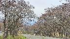 takano2-20250428132030.jpg