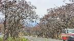 takano2-20250428133031.jpg