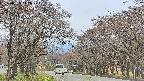 takano2-20250428142029.jpg