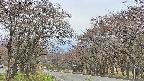 takano2-20250428144030.jpg