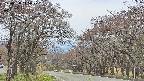 takano2-20250428145029.jpg
