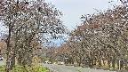 takano2-20250428154030.jpg