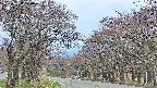 takano2-20250428174029.jpg