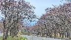 takano2-20250428181029.jpg
